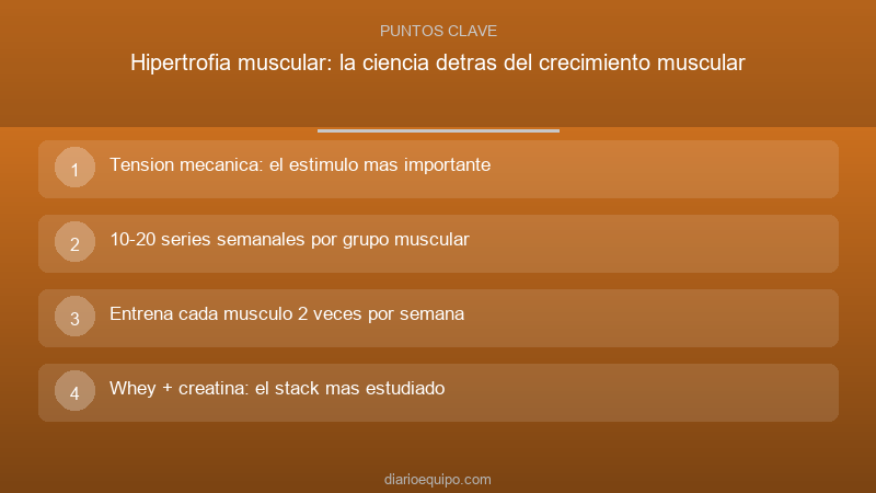 Hipertrofia muscular: la ciencia detras del crecimiento muscular